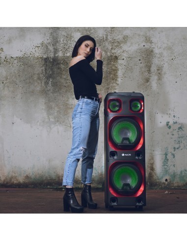 ngs-wild-ska-2-altavoz-bluetooth-800w-negro-7.jpg
