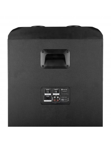 ngs-wild-ska-3-altavoz-bluetooth-1200w-negro-5.jpg