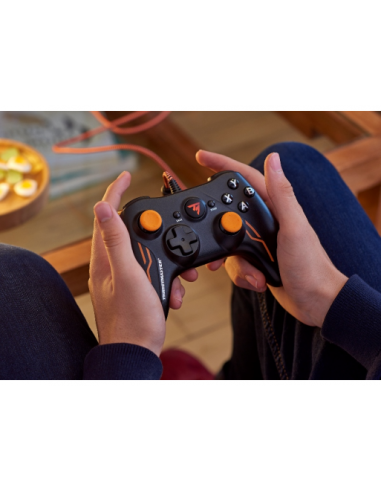 thrustmaster-gp-xid-pro-edition-pc-6.jpg