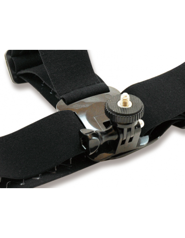 conceptronic-cactioncamhm-soporte-de-cabeza-2.jpg