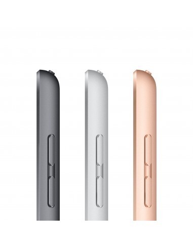 apple-ipad-2020-102-128gb-wifi-cellular-plata-mymm2ty-a-7.jpg