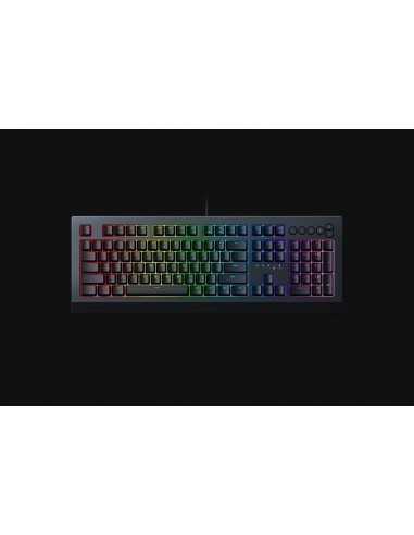razer-cynosa-v2-teclado-gaming-retroiluminado-1.jpg