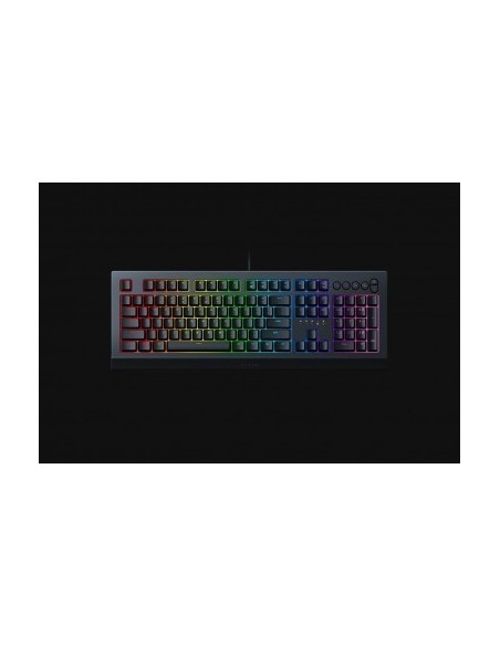 razer-cynosa-v2-teclado-gaming-retroiluminado-1.jpg