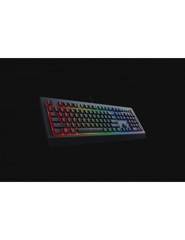 razer-cynosa-v2-teclado-gaming-retroiluminado-2.jpg