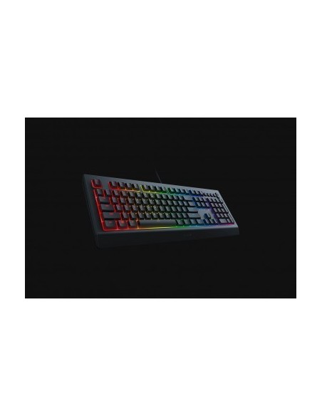 razer-cynosa-v2-teclado-gaming-retroiluminado-2.jpg