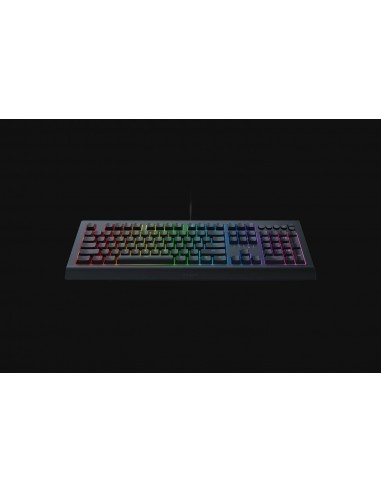 razer-cynosa-v2-teclado-gaming-retroiluminado-3.jpg