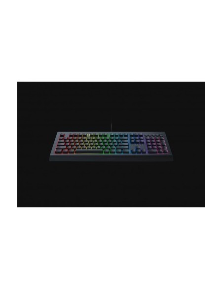 razer-cynosa-v2-teclado-gaming-retroiluminado-3.jpg