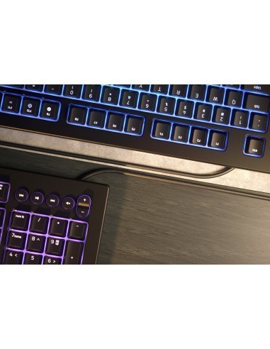 razer-cynosa-v2-teclado-gaming-retroiluminado-6.jpg