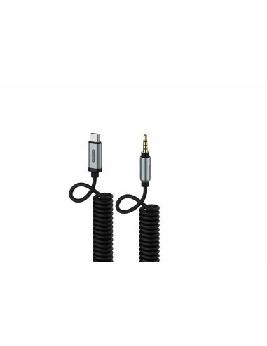sitecom-ca-070-cable-usb-c-a-jack-35mm-2m-1.jpg