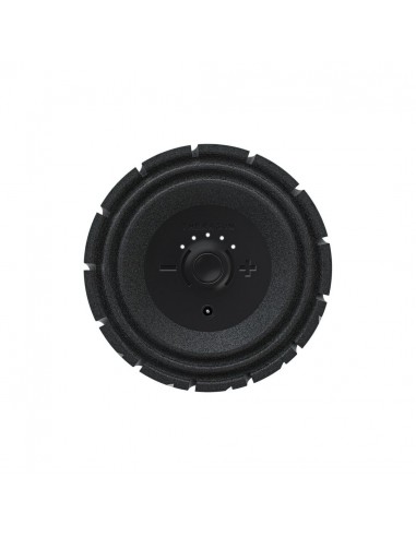Theragun 12" Wave Roller Rodillo de espuma vibratorio inteligente