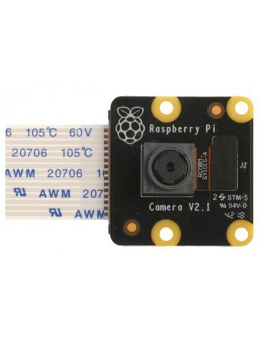 raspberry-camara-noir-v2-1.jpg
