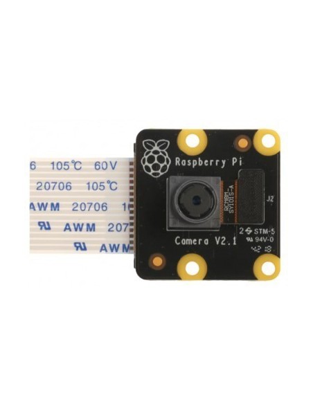 raspberry-camara-noir-v2-1.jpg
