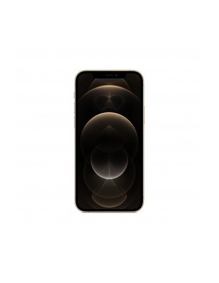 apple-iphone-12-pro-256gb-oro-mgmr3cn-a-1.jpg