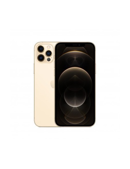 apple-iphone-12-pro-256gb-oro-mgmr3cn-a-2.jpg