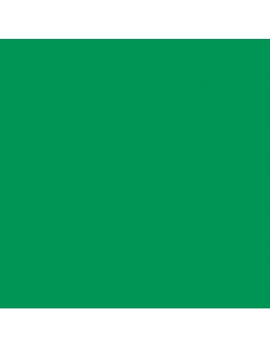 Cricut Smart Vinyl Removible Verde 33 x 366cm