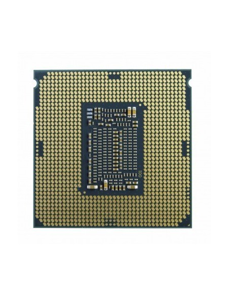 intel-core-i5-11600-28-ghz-procesador-2.jpg