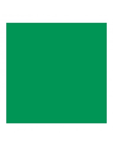 Cricut Smart Vinyl Permanente Verde 33 x 366cm