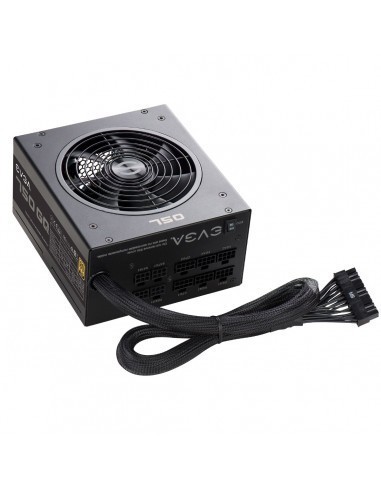 evga-gq-750w-80-plus-gold-modular-fuente-4.jpg