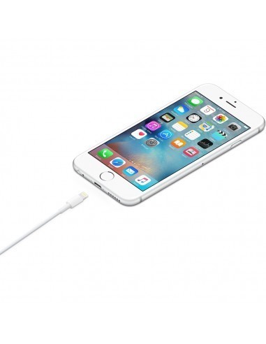apple-cable-lightning-a-usb-2-metros-bulk-2.jpg