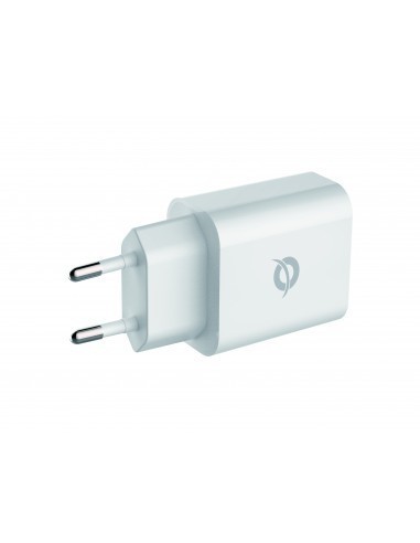 conceptronic-althea10w-cargador-usb-c-10w-2.jpg