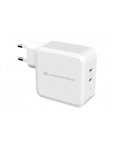 conceptronic-althea08w-cargador-2x-usb-c-100w-1.jpg