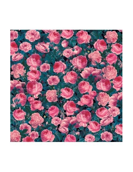cricut-infusible-ink-pack-2-hojas-de-transferencia-cabbage-rose-3.jpg