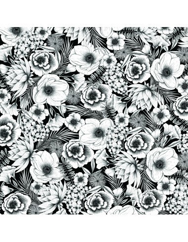 cricut-infusible-ink-pack-2-hojas-de-transferencia-black-botanicals-2.jpg