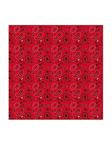 cricut-infusible-ink-pack-4-hojas-de-transferencia-western-sweetheart-4.jpg