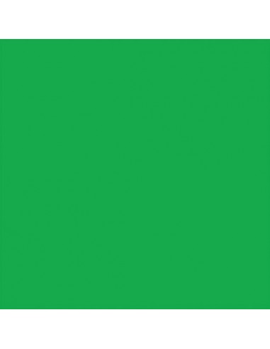 Cricut Infusible Ink Pack 2 Hojas de Transferencia Verde Brillante