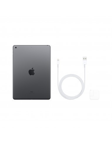 apple-ipad-2019-102-32gb-wifi-gris-espacial-5.jpg