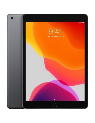 apple-ipad-2019-102-32gb-wifi-gris-espacial-6.jpg