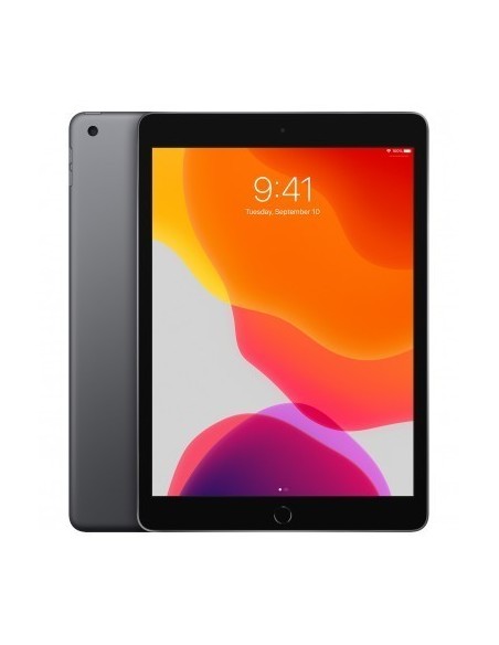 apple-ipad-2019-102-32gb-wifi-gris-espacial-6.jpg