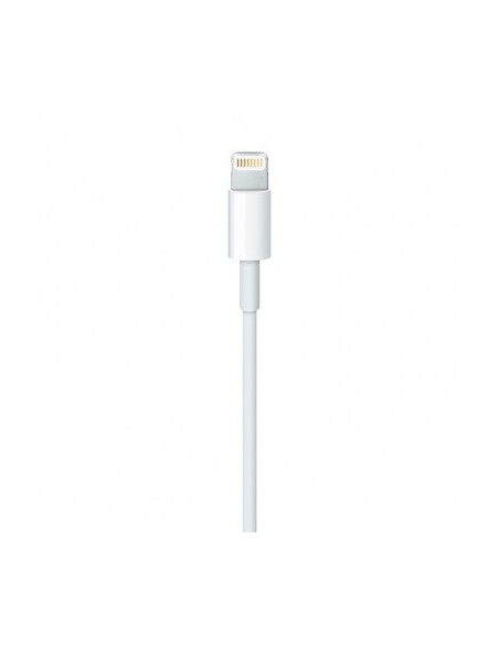 apple-cable-lightning-a-usb-2-metros-5.jpg