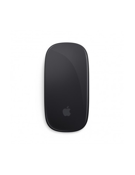 apple-magic-mouse-2-raton-inalambrico-gris-espacial-2.jpg