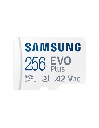 samsung-evo-plus-microsdxc-256gb-uhs-i-v30-clase-10-1.jpg