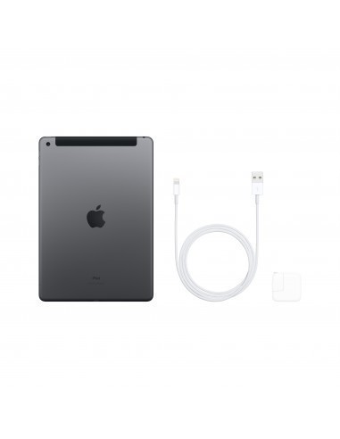 apple-ipad-2019-102-32gb-wifi-cellular-gris-espacial-5.jpg