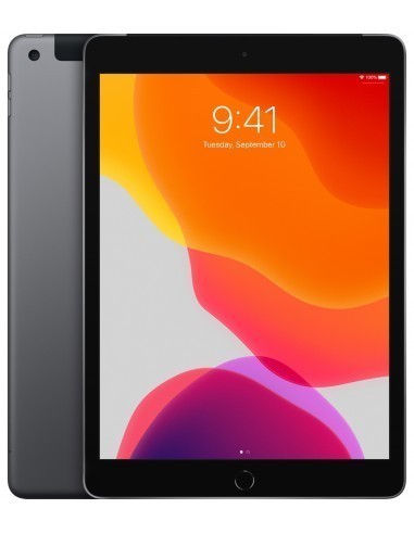 apple-ipad-2019-102-32gb-wifi-cellular-gris-espacial-6.jpg