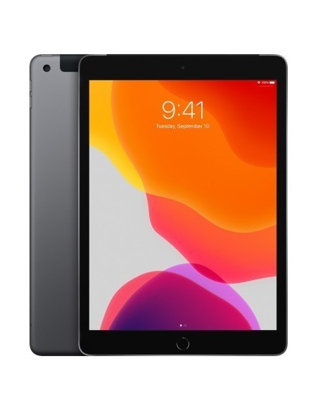 apple-ipad-2019-102-32gb-wifi-cellular-gris-espacial-6.jpg
