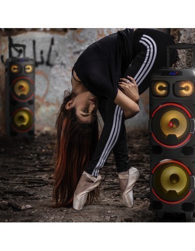 ngs-wild-dub-1-altavoz-portatil-de-300w-bluetooth-true-wireless-doble-subwoofer-8-10.jpg