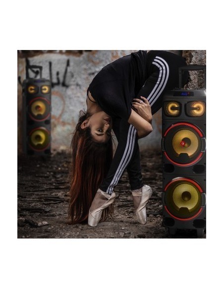 ngs-wild-dub-1-altavoz-portatil-de-300w-bluetooth-true-wireless-doble-subwoofer-8-10.jpg