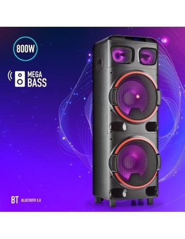 ngs-wild-dub-2-altavoz-portatil-bluetooth-tws-doble-subwoofer-12-800w-8.jpg