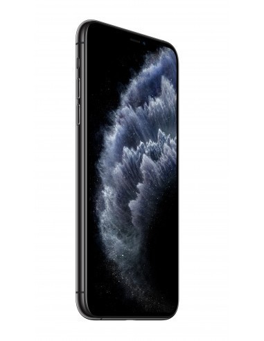 apple-iphone-11-pro-max-256gb-gris-espacial-3.jpg