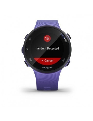garmin-forerunner-45s-reloj-de-carrera-39mm-iris-2.jpg