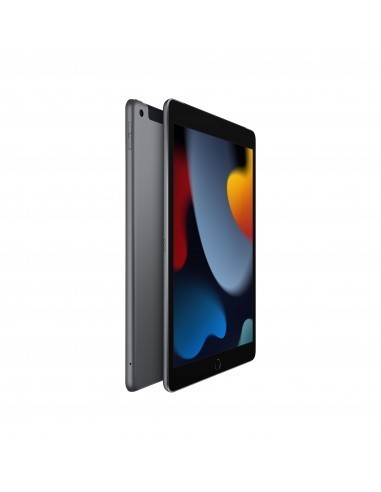 apple-ipad-2021-102-256gb-wifi-cellular-gris-espacial-2.jpg