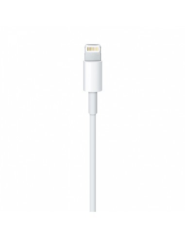 apple-cable-conector-lightning-a-usb-1m-3.jpg