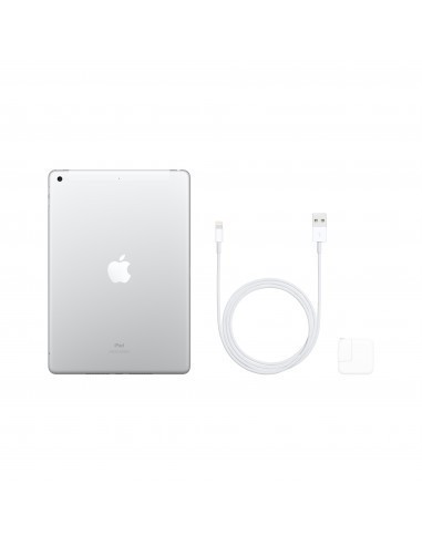 apple-ipad-2019-102-32gb-wifi4g-plata-3.jpg