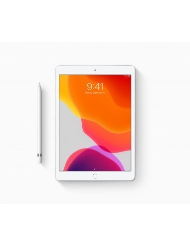 apple-ipad-2019-102-32gb-wifi4g-plata-5.jpg