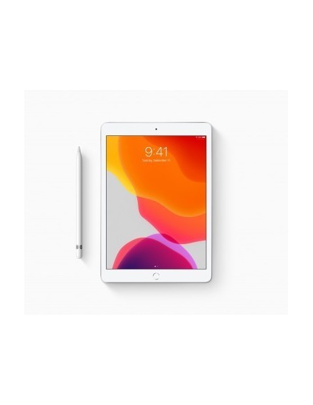 apple-ipad-2019-102-32gb-wifi4g-plata-5.jpg