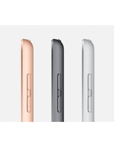apple-ipad-2019-102-32gb-wifi4g-plata-7.jpg