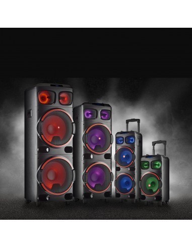 ngs-wild-dub-3-altavoz-portatil-bluetooth-tws-doble-subwoofer-15-1200w-7.jpg